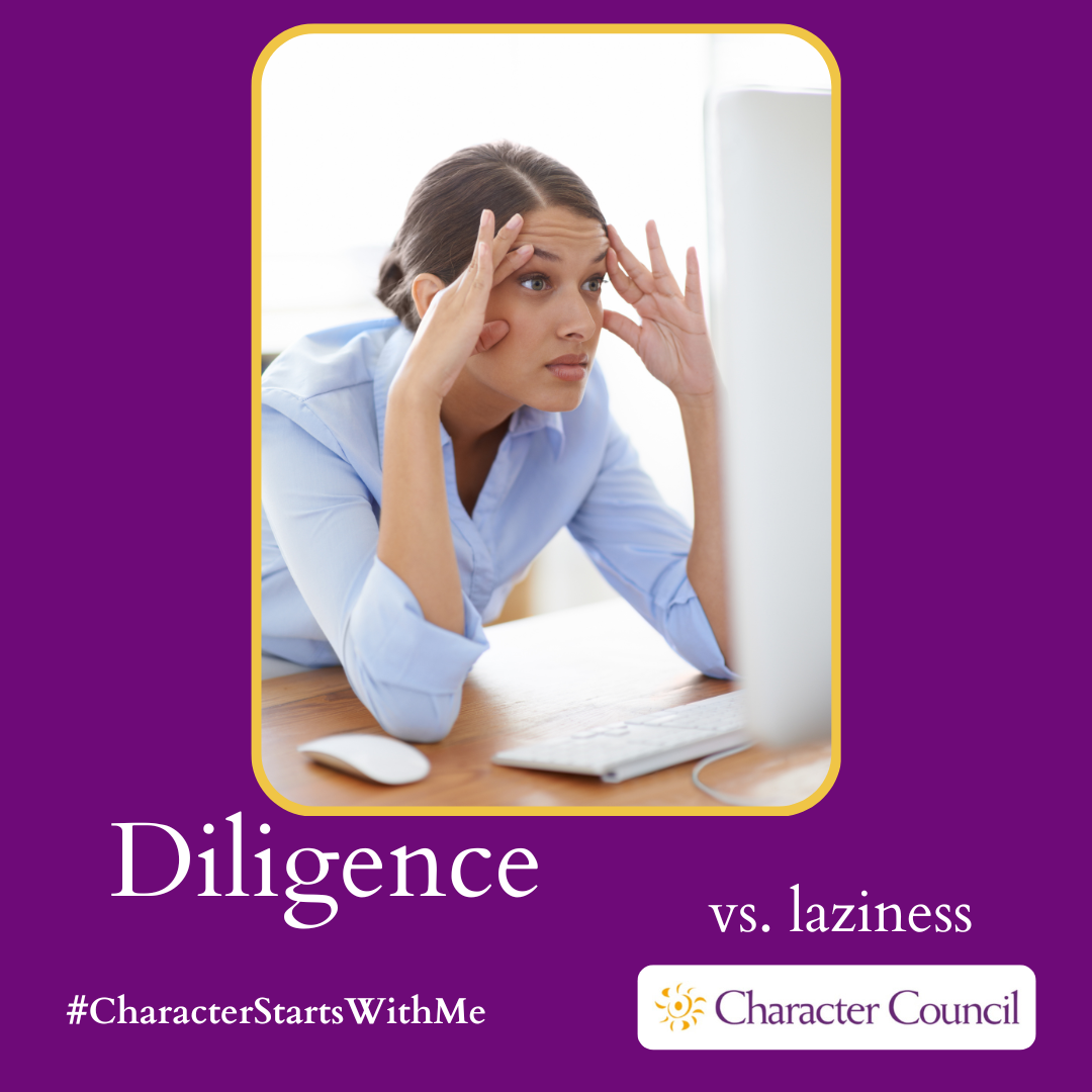 Diligence