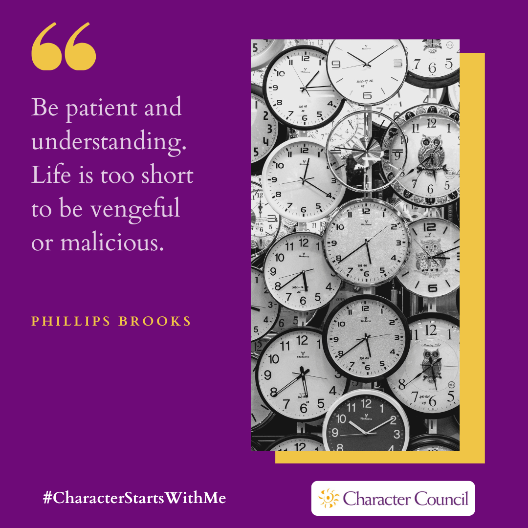 Patience Quote 6 Ig